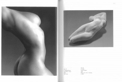 14-388x262