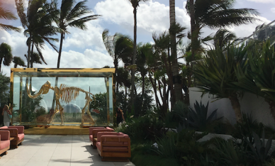 Miami and the ABMB fair, as if you were there