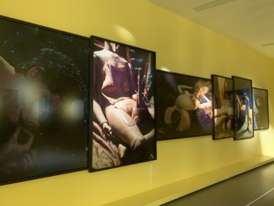 Cindy-Sherman-5-388x291