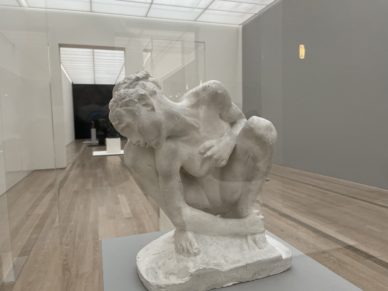 Rodin/Arp at the Fondation Beyeler: while awaiting to see one of Europe’s most beautiful exhibitions in person