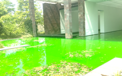 Beyeler Foundation:  Olafur Eliasson breaks down the walls of the museum to let in his eco dream
