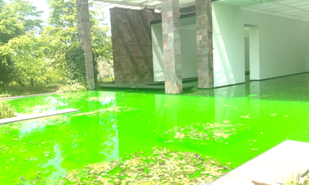 Beyeler Foundation:  Olafur Eliasson breaks down the walls of the museum to let in his eco dream