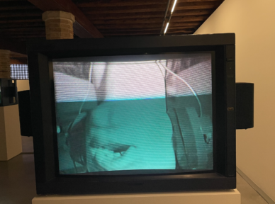 Bruce-Nauman2-388x288