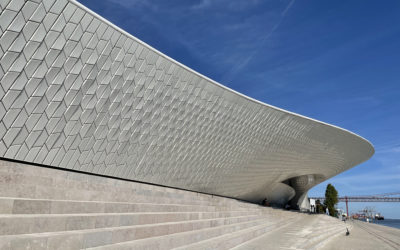 Carsten Höller: in Lisbon inside the belly of the whale, the artist plays with light and science