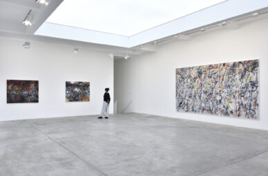 Exhibitionviews_Mehretu_MGGPARIS2022_2-388x256