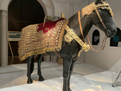 Imperial-Harness-450x338-1-388x291