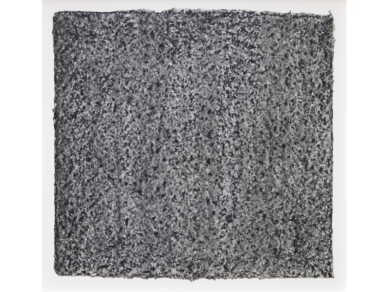 seurat6-1-388x292