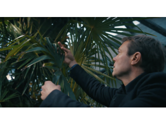 From Notre Dame to the Venice Bienniale of Architecture, Bas Smets, The Belgian Who Recognizes the Intelligence of Trees