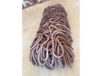Maiolino at the Picasso Museum: The Golden Lion and Her Beautiful Clay Metaphors
