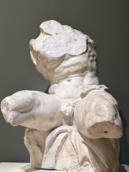 Cast of the Belvedere Torso
