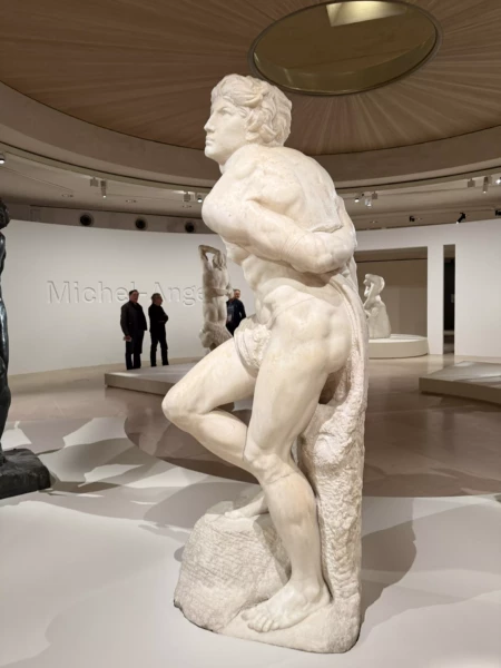 MIchelangelo 6