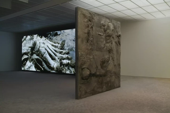 Fondation Beyeler_Pierre Huyghe5