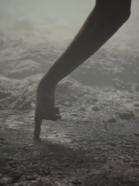 Huyghe