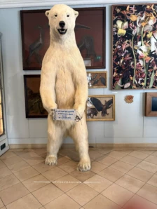 Fur, Nets and Feminism: Annette Messager Takes Over a Hunting Museum