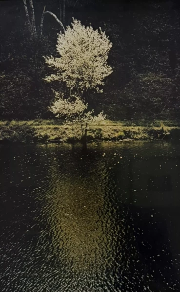 Edward Steichen 2