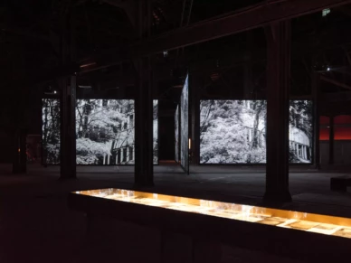 The Love Affair Between Luma Arles and Video, Major Art Form of the 21st Century