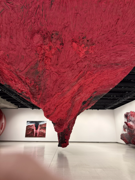 Anish Kapoor 1