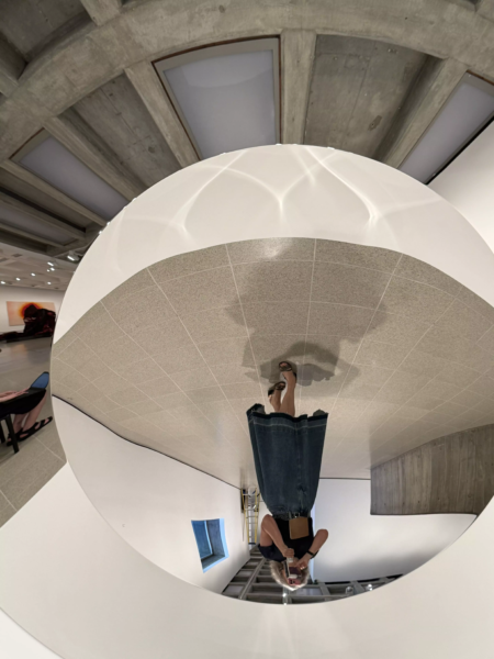 Anish Kapoor 2