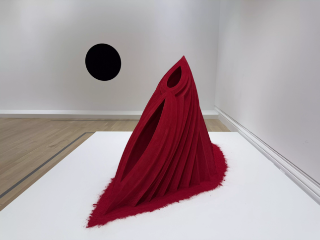 Anish Kapoor 5