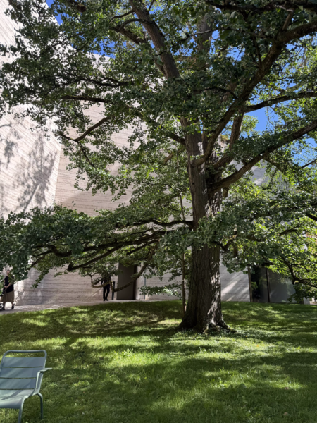 Fondation Beyeler 2